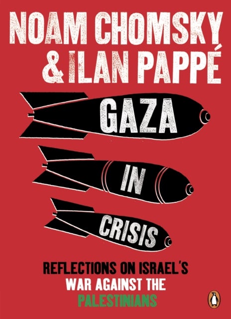 Gaza in Crisis - Reflections on Israel's War Against the Palestinians