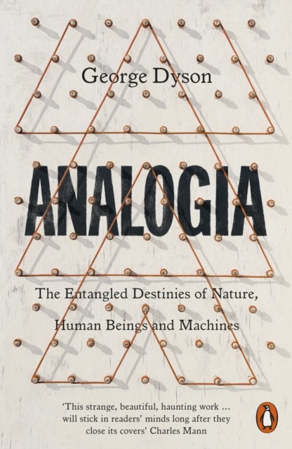 Analogia - The Entangled Destinies of Nature, Human Beings and Machines