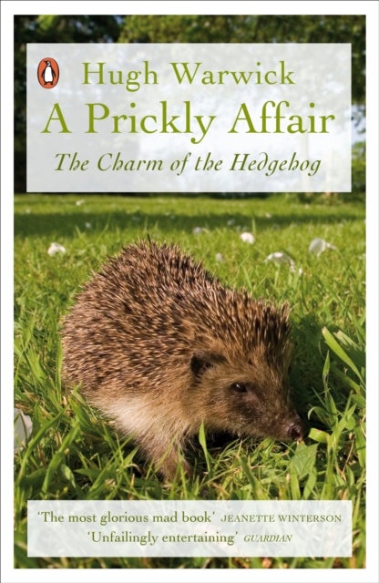 A Prickly Affair - The Charm of the Hedgehog