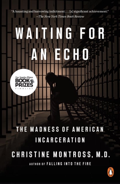 Waiting for an Echo - The Madness of American Incarceration