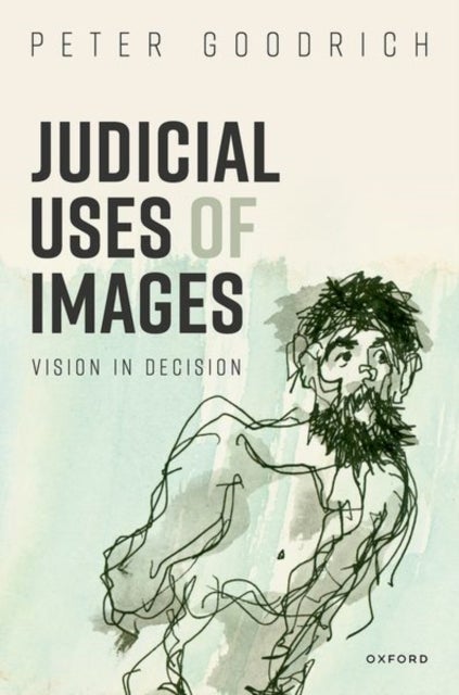 Judicial Uses of Images - Vision in Decision