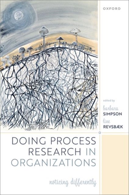 Doing Process Research in Organizations - Noticing Differently