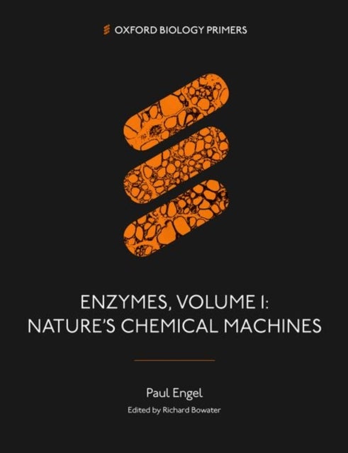 Enzymes, Volume 1 - Nature's Chemical Machines