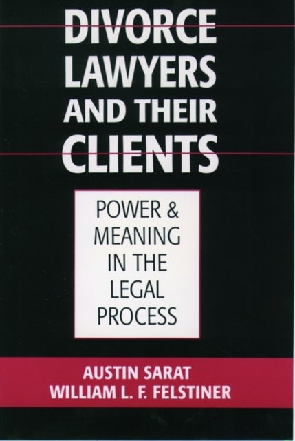 Divorce Lawyers and Their Clients - Power and Meaning in the Legal Process
