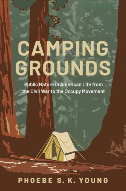 Camping Grounds - Public Nature in American Life from the Civil War to the Occupy Movement