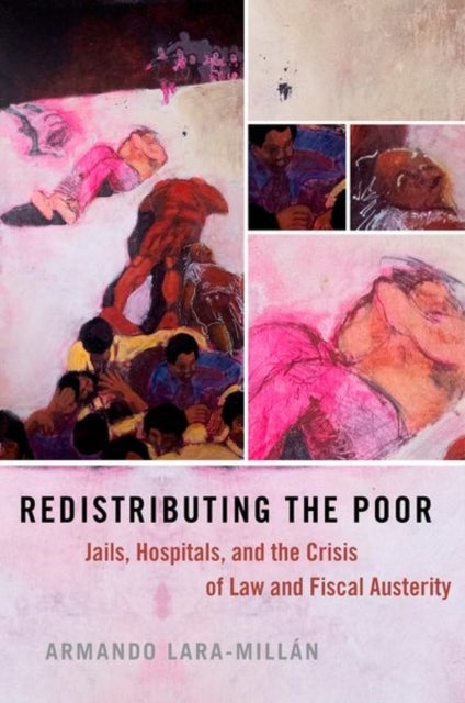 Redistributing the Poor - Jails, Hospitals, and the Crisis of Law and Fiscal Austerity