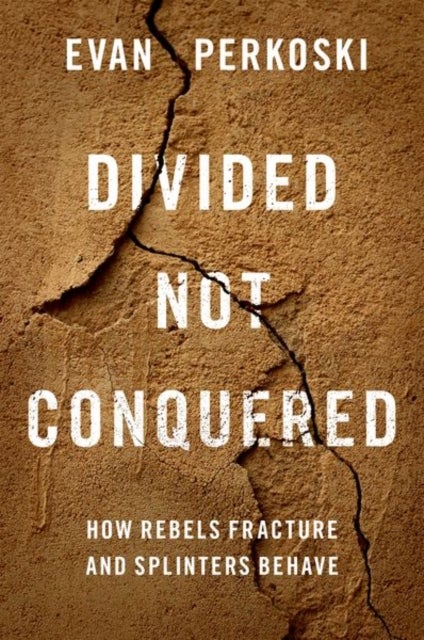 Divided Not Conquered - How Rebels Fracture and Splinters Behave