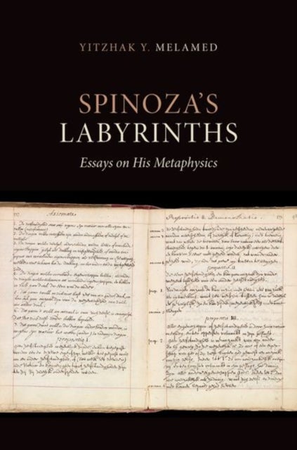 Spinoza's Labyrinths - Essays on His Metaphysics