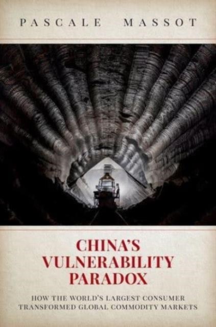 China's Vulnerability Paradox - How the World's Largest Consumer Transformed Global Commodity Markets