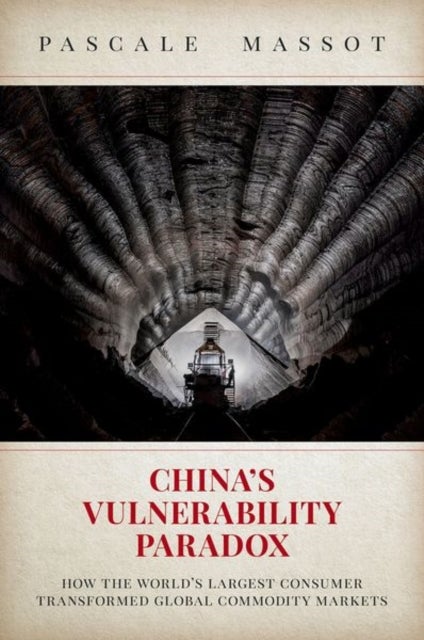 China's Vulnerability Paradox - How the World's Largest Consumer Transformed Global Commodity Markets