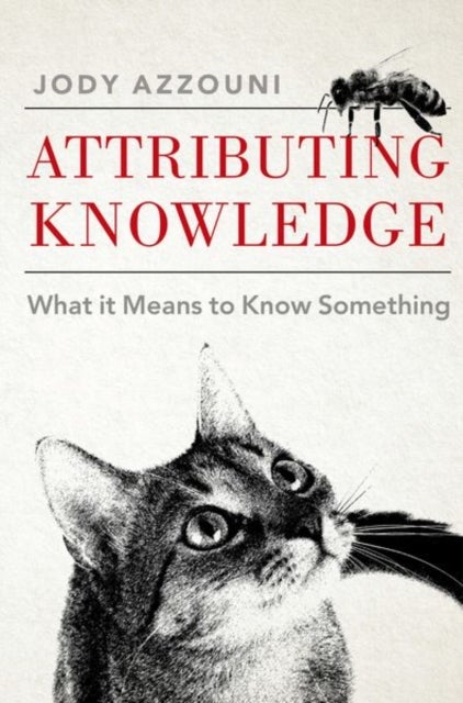 Attributing Knowledge - What It Means to Know Something