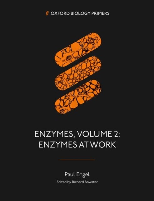 Enzymes, Volume 2 - Enzymes at Work