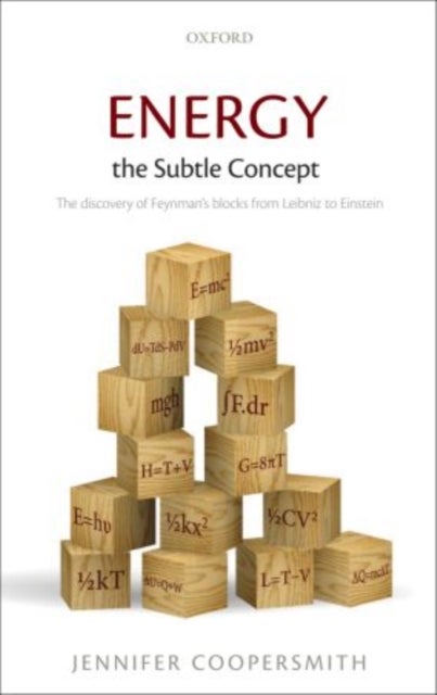 Energy, the Subtle Concept - The discovery of Feynman's blocks from Leibniz to Einstein