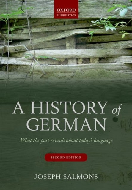 A History of German - What the Past Reveals about Today's Language