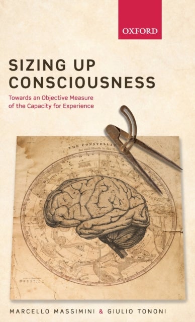 Sizing up Consciousness - Towards an objective measure of the capacity for experience