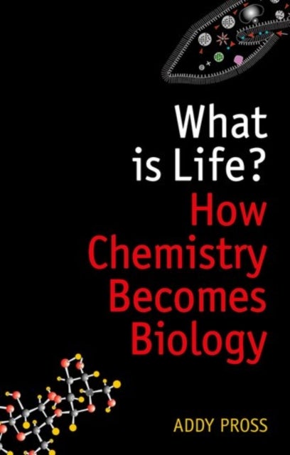 What is Life? - How Chemistry Becomes Biology