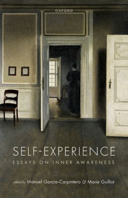 Self-Experience - Essays on Inner Awareness