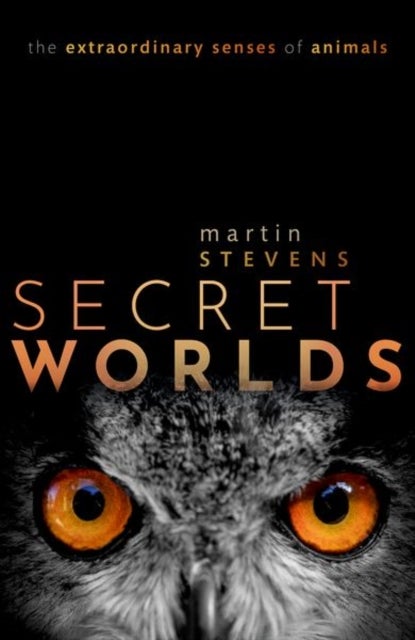 Secret Worlds - The extraordinary senses of animals