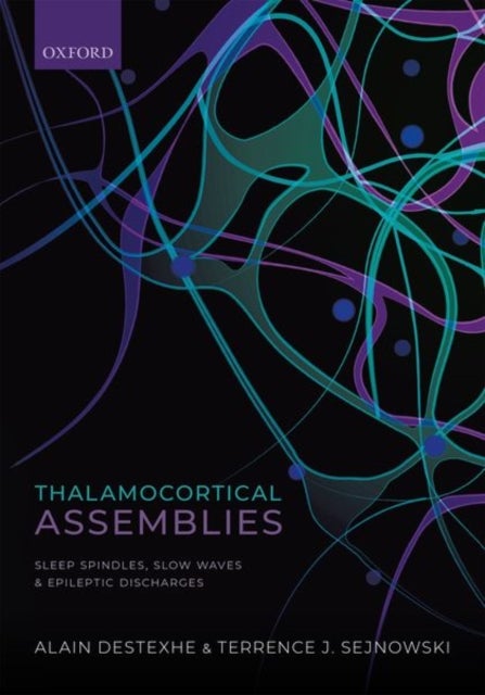 Thalamocortical Assemblies - Sleep spindles, slow waves and epileptic discharges
