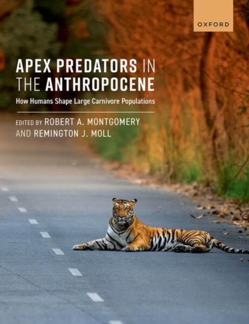 Apex Predators in the Anthropocene - How Humans Shape Large Carnivore Populations