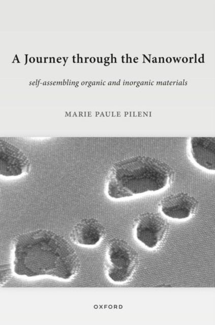 A Journey through the Nanoworld - Self-Assembling Organic and Inorganic Materials