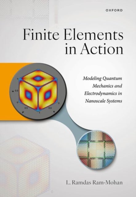 Finite Elements in Action - Modeling Quantum Mechanics and Electrodynamics in Nanoscale Systems