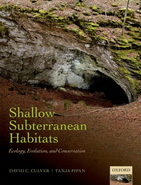 Shallow Subterranean Habitats - Ecology, Evolution, and Conservation