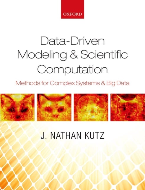 Data-Driven Modeling & Scientific Computation - Methods for Complex Systems & Big Data
