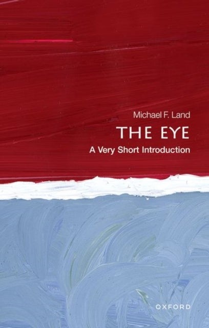The Eye: A Very Short Introduction - A Very Short Introduction