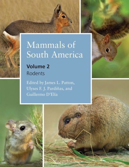 Mammals of South America, Volume 2 - Rodents