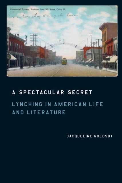 A Spectacular Secret - Lynching in American Life and Literature