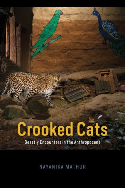 Crooked Cats - Beastly Encounters in the Anthropocene