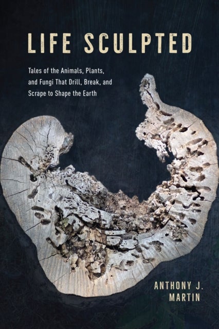 Life Sculpted - Tales of the Animals, Plants, and Fungi That Drill, Break, and Scrape to Shape the Earth
