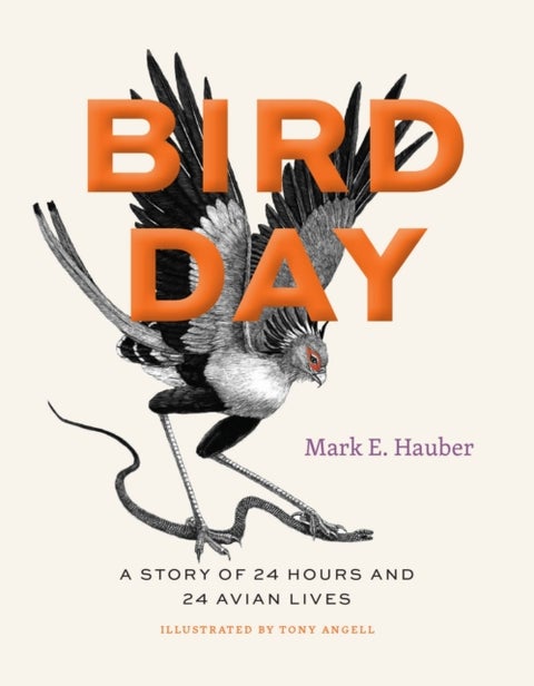 Bird Day - A Story of 24 Hours and 24 Avian Lives