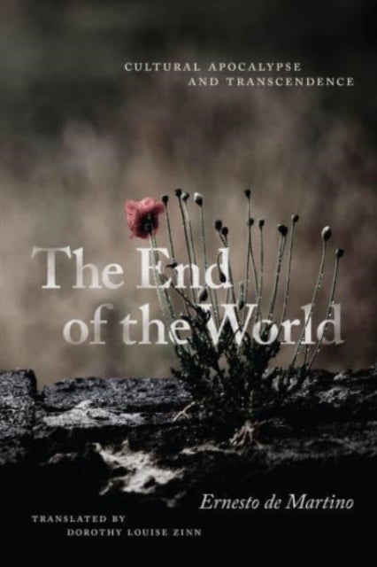 The End of the World - Cultural Apocalypse and Transcendence