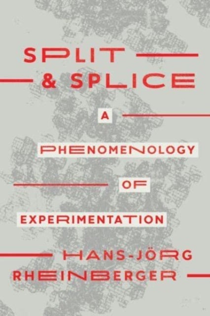 Split and Splice - A Phenomenology of Experimentation