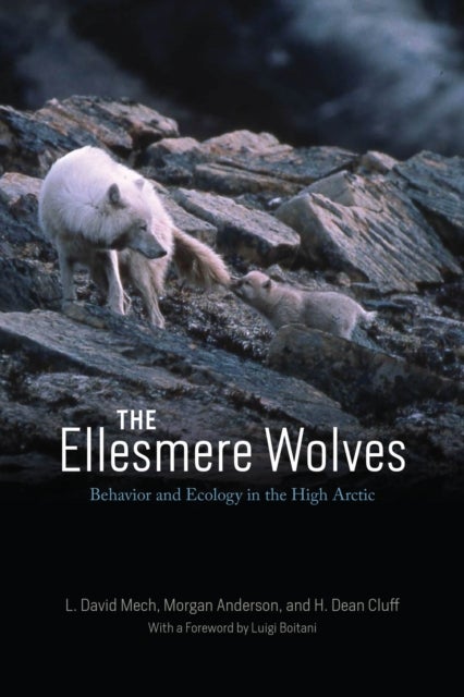 The Ellesmere Wolves - Behavior and Ecology in the High Arctic