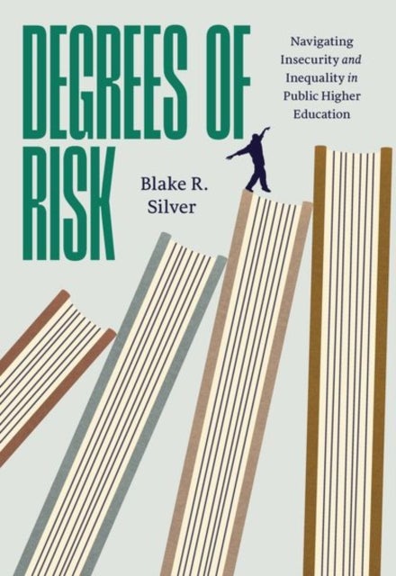 Degrees of Risk - Navigating Insecurity and Inequality in Public Higher Education
