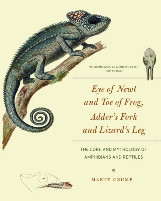Eye of Newt and Toe of Frog, Adder's Fork and Lizard's Leg - The Lore and Mythology of Amphibians and Reptiles