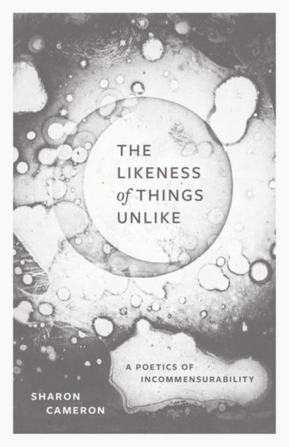 The Likeness of Things Unlike - A Poetics of Incommensurability