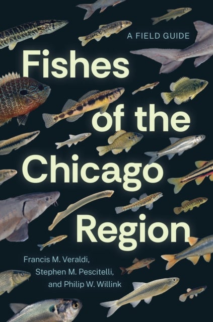 Fishes of the Chicago Region - A Field Guide