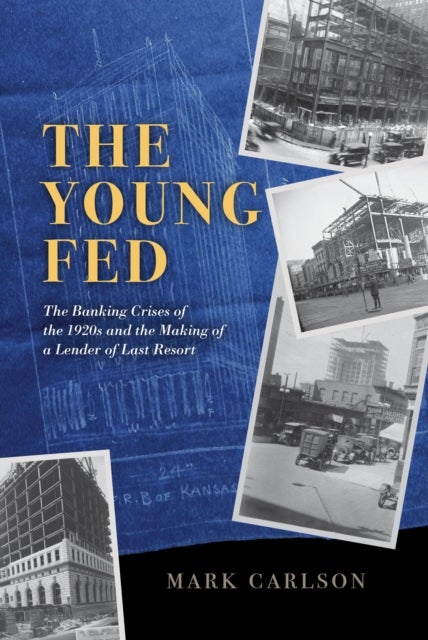 The Young Fed - The Banking Crises of the 1920s and the Making of a Lender of Last Resort