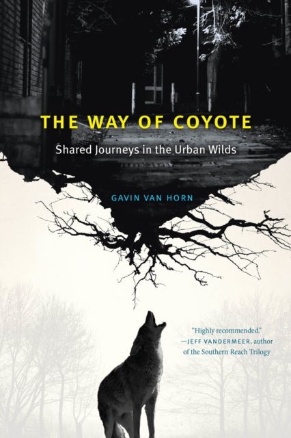 The Way of Coyote - Shared Journeys in the Urban Wilds
