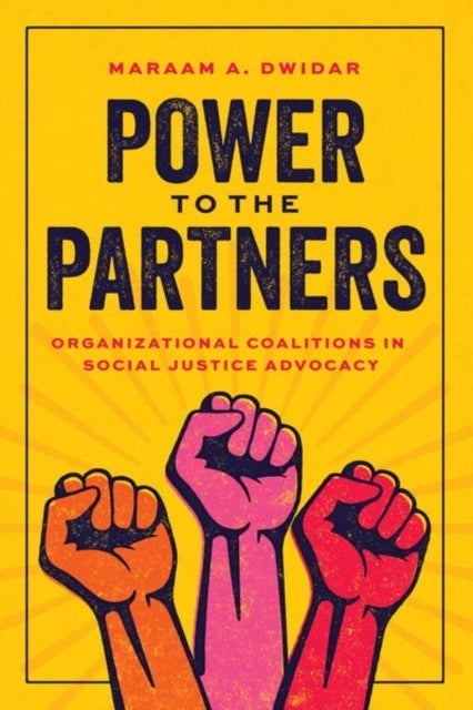 Power to the Partners - Organizational Coalitions in Social Justice Advocacy