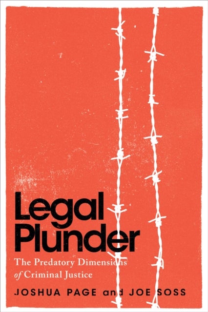 Legal Plunder - The Predatory Dimensions of Criminal Justice