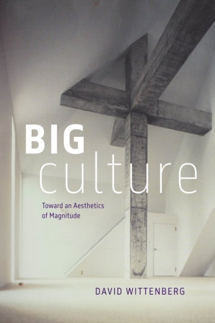 Big Culture - Toward an Aesthetics of Magnitude
