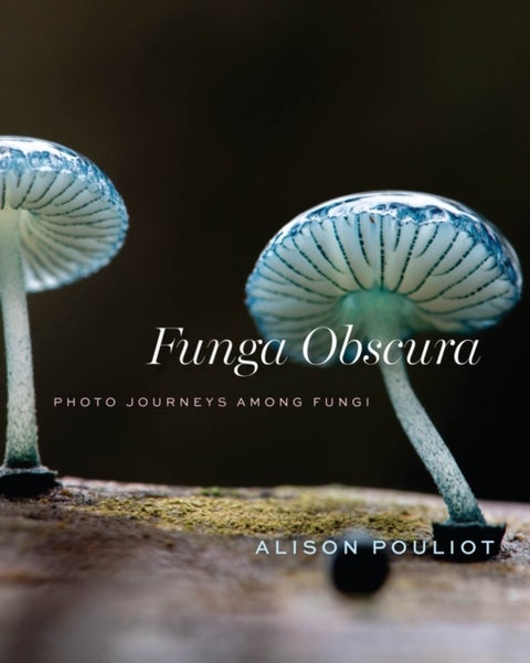 Funga Obscura - Photo Journeys Among Fungi