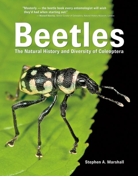 Beetles - The Natural History and Diversity of Coleoptera