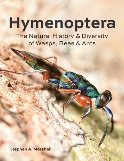 Hymenoptera - The Natural History and Diversity of Wasps, Bees and Ants