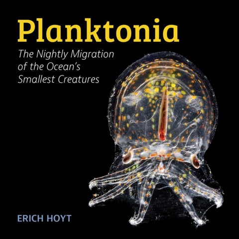 Planktonia - The Nightly Migration of the Ocean's Smallest Creatures